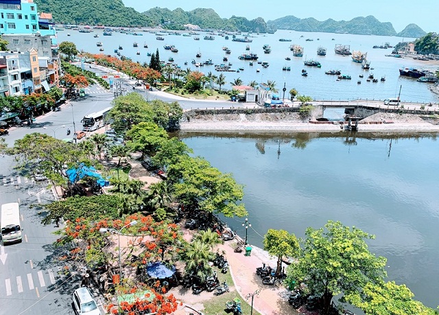 Một phần quang cảnh vịnh Cát Bà (huyện Cát Hải) ngày hôm nay.