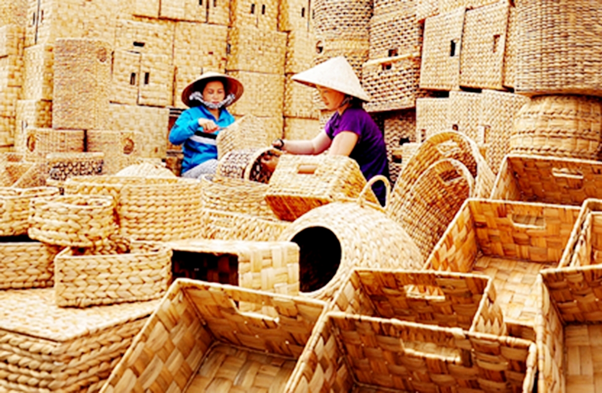 Các HTX trên địa bàn thị xã đang hoạt động hiệu quả, tạo việc làm, nâng cao thu nhập cho hàng nghìn người (Ảnh TL).