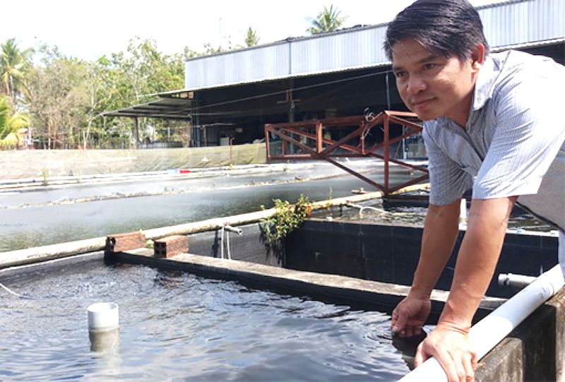 Mô hình nuôi cá cảnh xuất khẩu mang lại tiền tỷ cho anh Lê Văn Huệ (ảnh:TL)