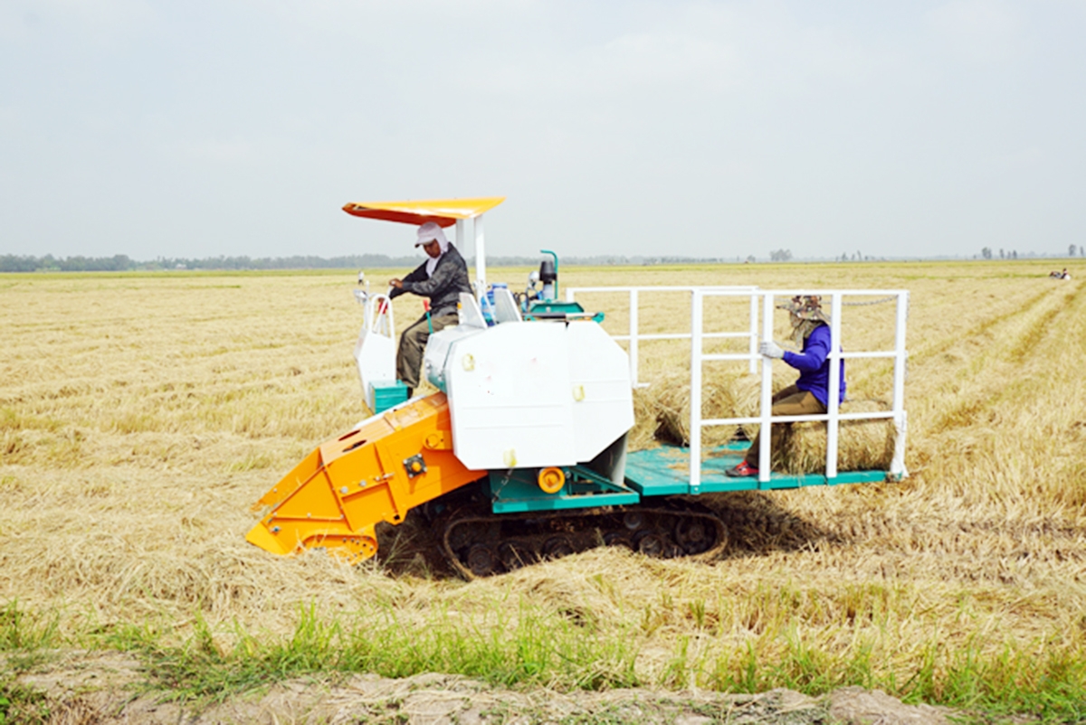 Đồng Xuân chủ trương gia tăng hàm lượng khoa học - công nghệ để nâng cao hiệu quả sản xuất nông nghiệp.