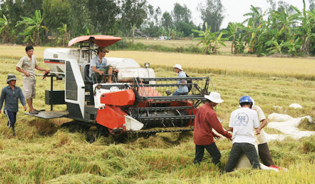 Hỗ trợ người nông dân, lao động phi chính thức tham gia BHXH tự nguyện.