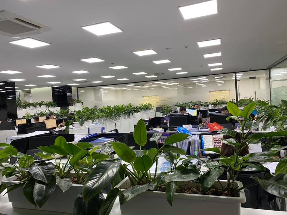 Hiện có tới 80% doanh nghiệp lên kế hoạch sử dụng không gian làm việc chung.