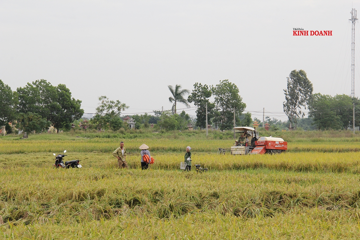 Dồn điền đổi thửa giúp các HTX áp dụng khoa học kỹ thuật, cơ giới hóa để nâng cao hiệu quả sản xuất.