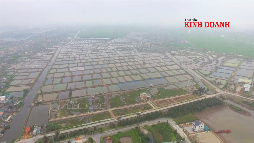 Khu nuôi trồng thủy sản của các xã ven biển, huyện Tiền Hải nhìn từ trên cao.