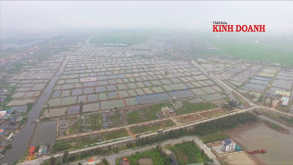 Khu nuôi trồng thủy sản của các xã ven biển, huyện Tiền Hải nhìn từ trên cao.