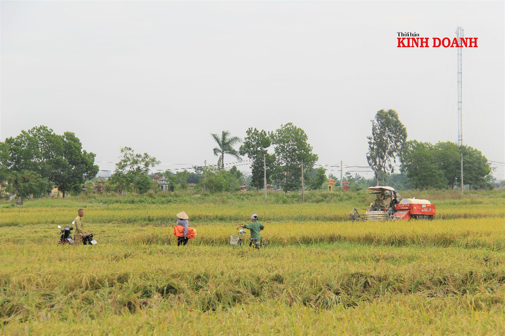 Việc cơ giới hóa nông nghiệp, nông dân tiết kiệm thời gian và sức lao động.