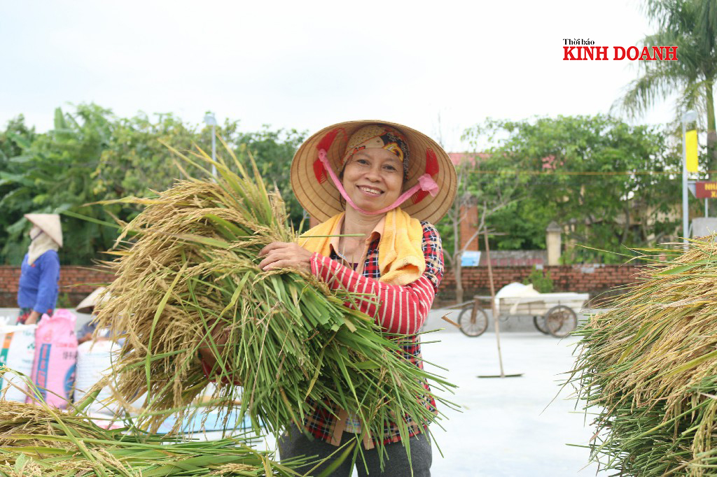 Người dân tăng gia sản xuất, tích cực đóng góp sức người sức của vào công cuộc xây dựng nông thôn mới.