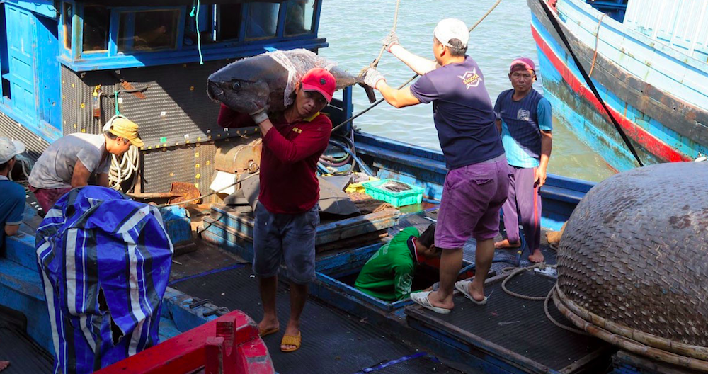 Việt Nam chưa cho nhà đầu tư nước ngoài tham gia lĩnh vực khai thác hải sản.