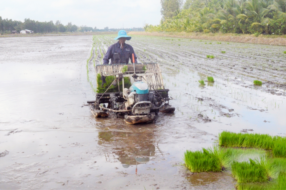 Sản xuất nông nghiệp ở Tân Hiệp đang được đẩy mạnh áp dụng cơ giới hóa, ứng dụng công nghệ cao (Ảnh TL).