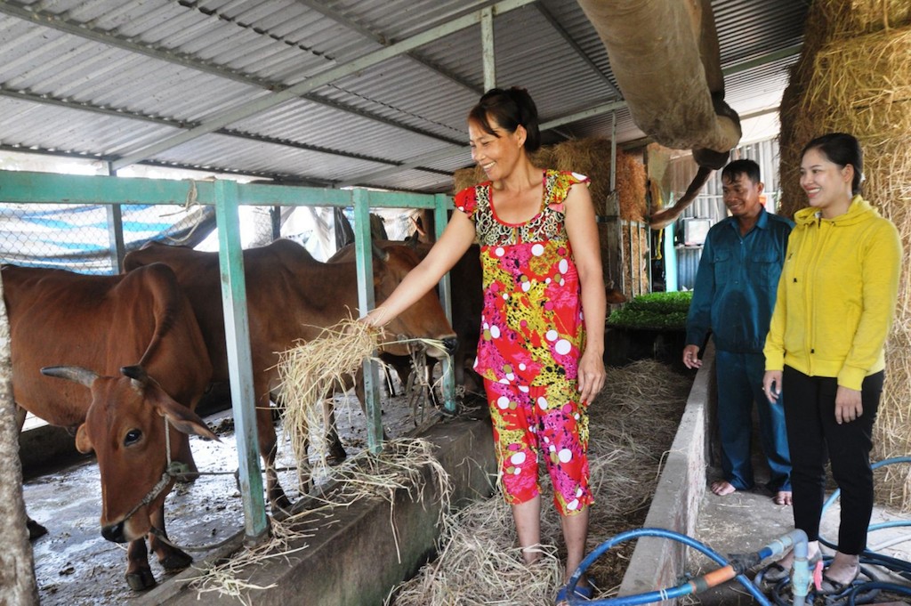 Nhờ học nghề chăn nuôi bò thịt đã giúp người Khmer ở Thạnh Trị thoát nghèo.