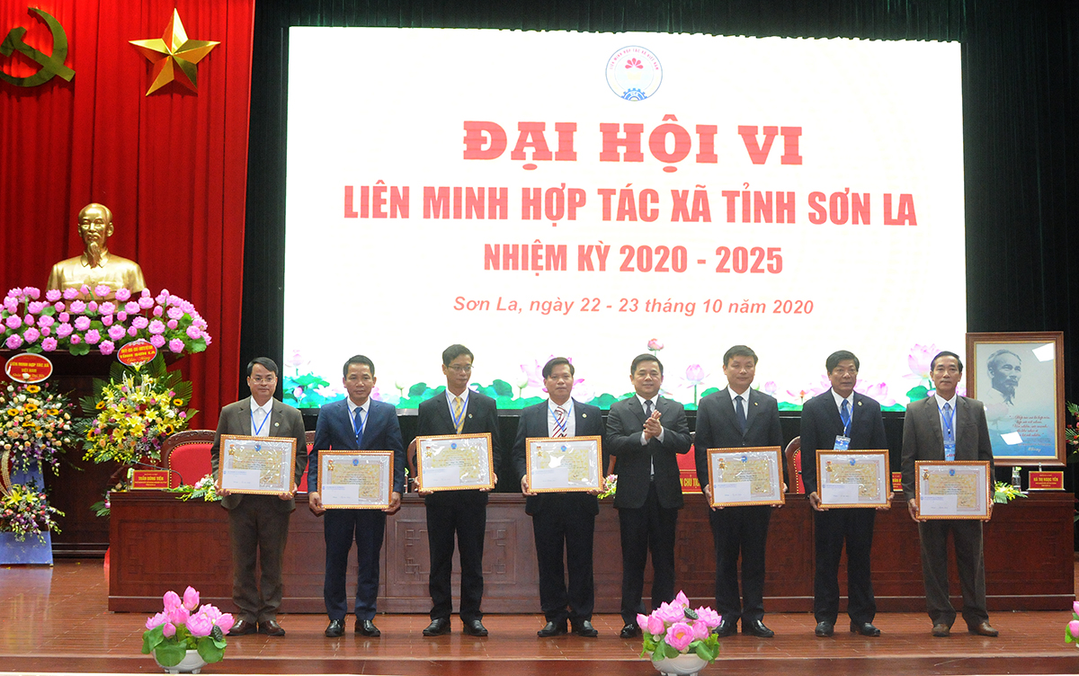 Phó Chủ tịch Liên minh HTX Việt Nam Nguyễn Văn Thịnh trao bằng khen cho các cá nhân tập thể HTX đạt thành tích xuất sắc.