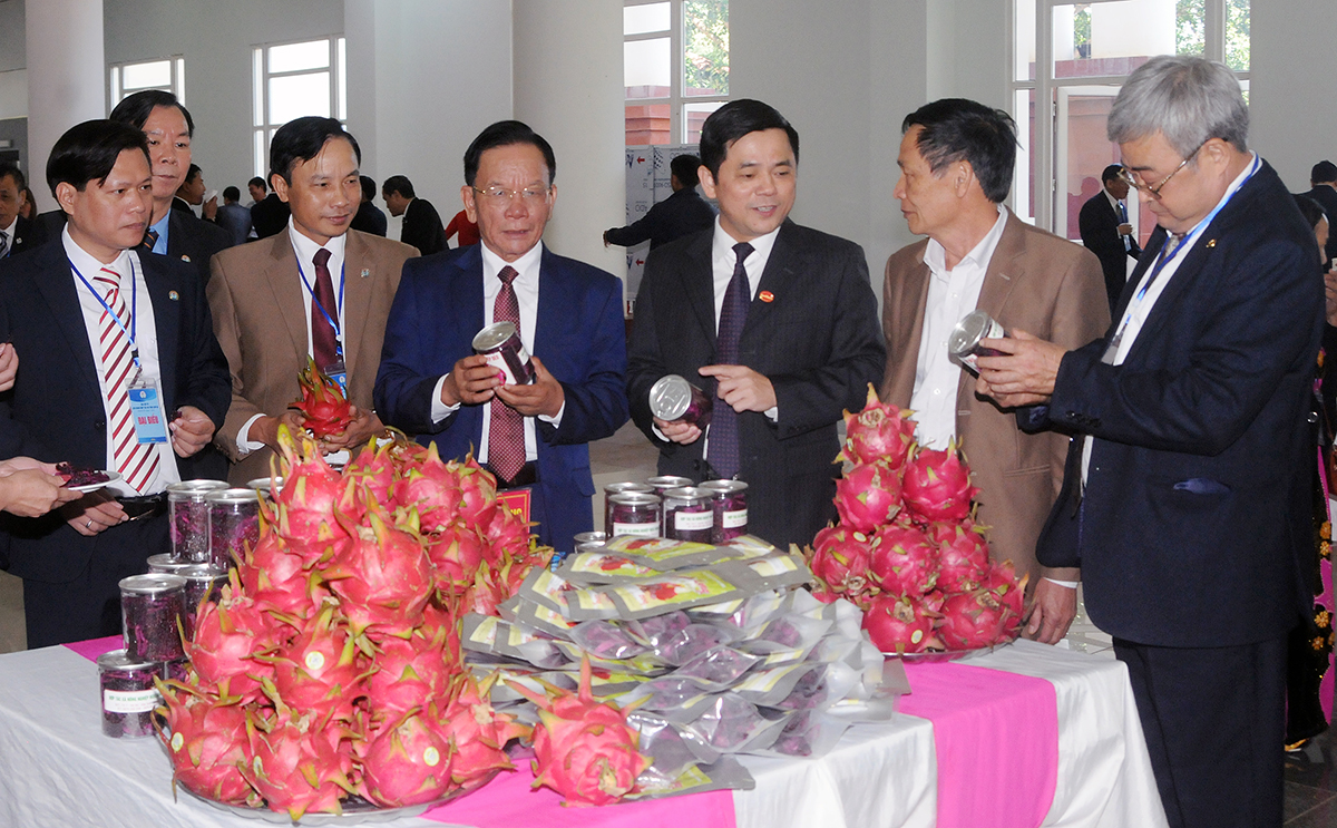 Các đại biểu thăm gian hàng trưng bày sản phẩm của HTX tại Đại hội VI Liên minh HTX tỉnh Sơn La.