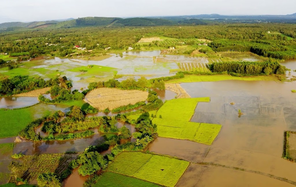Gặt hái thành quả trong chuyển đổi cơ cấu cây trồng trên c