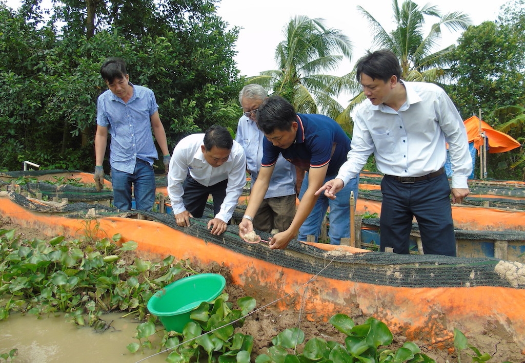 Nông dân huyện Long Hồ học hỏi những kỹ thuật nuôi trồng mới để thích ứng biến đổi khí hậu