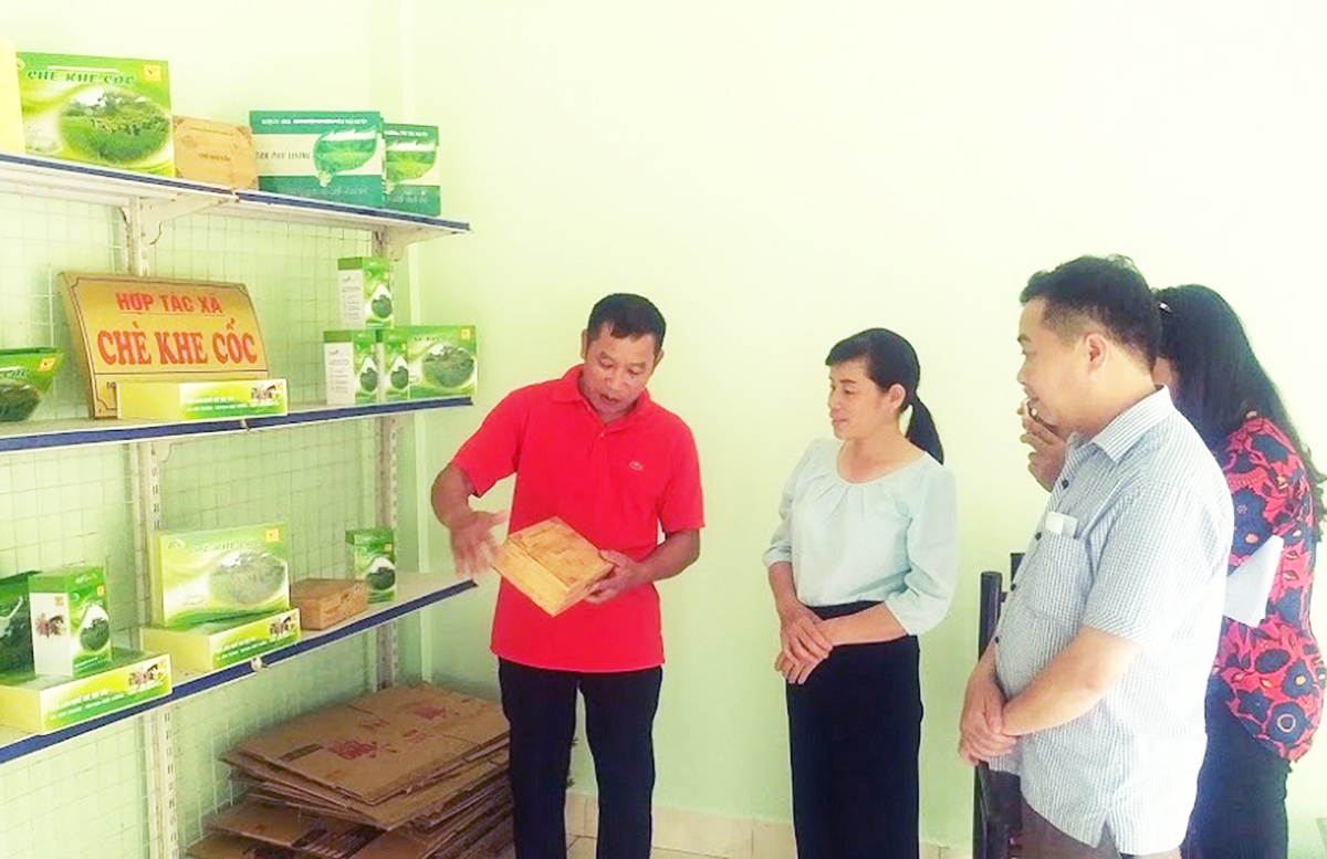 Các HTX đang đóng góp quan trọng trong xây dựng nông thôn mới kiểu mẫu ở Tức Tranh.