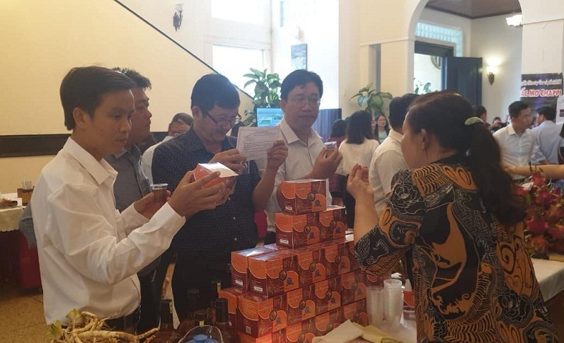 Sản phẩm trà túi lọc đương quy có đầu ra thuận lợi giúp người dân và thành viên nâng cao thu nhập, ổn định cuộc sống.