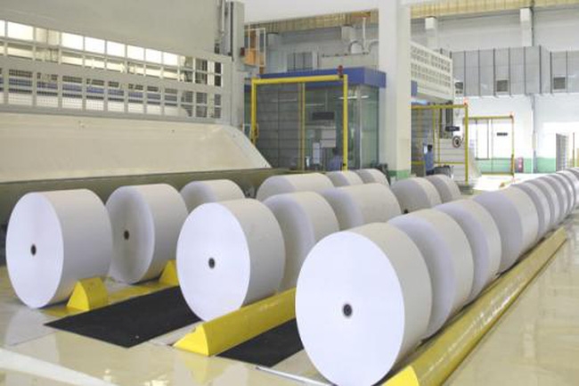 Mang nhiều kỳ vọng trong tương lai nhưng sức khoẻ tài chính hiện nay của Hapaco lại đang có hạn.