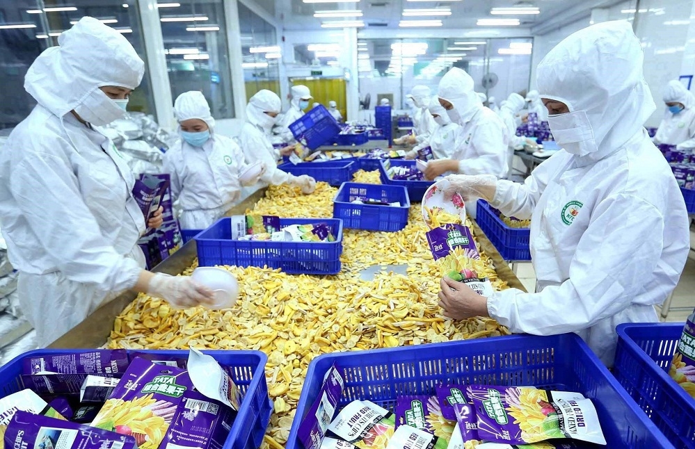 Kim ngạch xuất khẩu nông lâm thủy sản trong 10 tháng ước đạt 33,6 tỷ USD, đạt mức xuất siêu gần 8 tỷ USD. (Ảnh: Int)