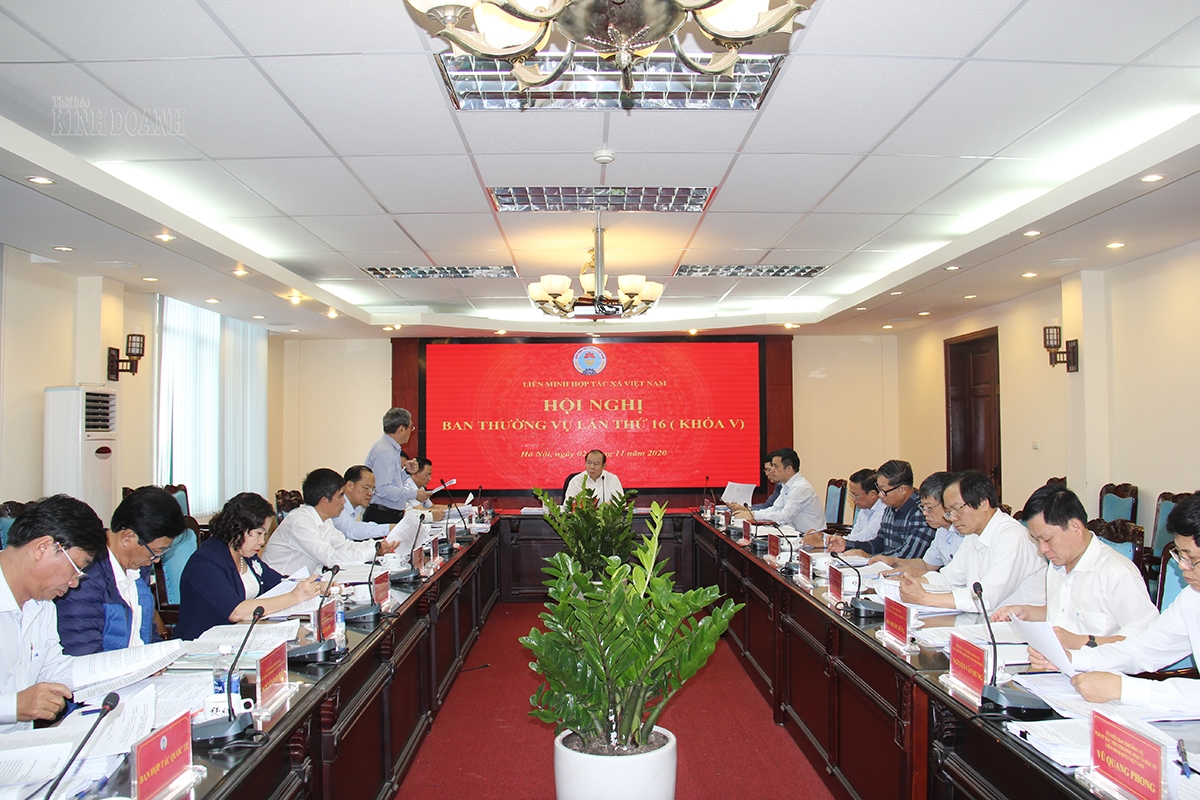 Các Đại biểu cho rằng, công tác tổ chức Đại hội Liên minh HTX các tỉnh thành công tốt đẹp là nhờ sự chỉ đạo đồng bộ, quyết liệt từ Liên minh HTX Việt Nam đến sự chỉ đạo của cấp ủy, chính quyền địa phương và sự nỗ lực của Liên minh HTX các tỉnh, thành phố.