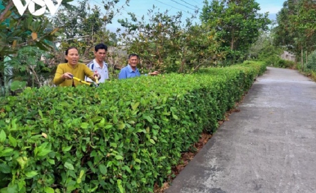 Người dân ấp Láng Tượng (Tân Hưng Đông) xây dựng khu vườn kiểu mẫu.