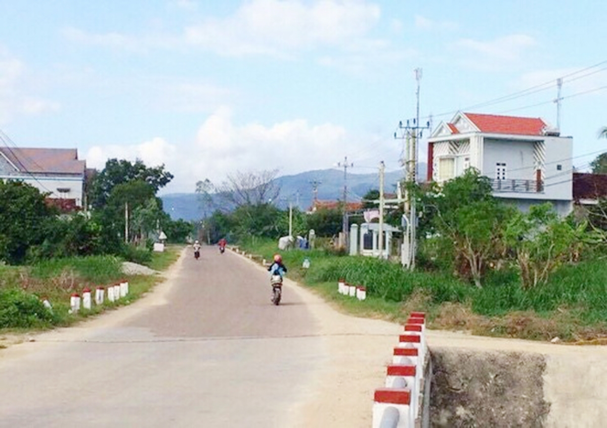 Tây Sơn đang hướng tới đạt chuẩn huyện nông thôn mới trước năm 2025 (Ảnh TL).