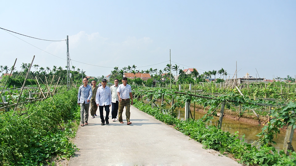 Hiệu quả của các vùng sản xuất nông nghiệp đang góp phần xóa đói, giảm nghèo, nâng cao thu nhập cho người dân (Ảnh TL).