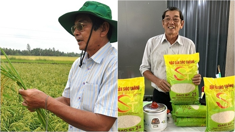 Giống gạo ST 25 của Doanh nghiệp tư nhân Hồ Quang Trí tiếp tục được chọn tham dự cuộc thi Gạo ngon thế giới năm 2020 (Ảnh: Int)