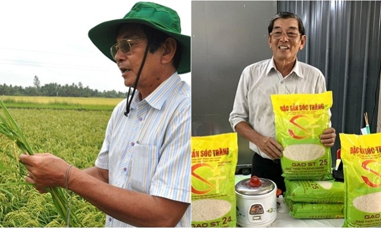 4 giống gạo thơm Việt Nam tham gia cuộc thi Gạo ngon thế giới năm 2020