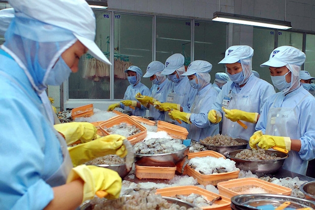 Tôm Việt Nam đang phải cạnh tranh về giá so với tôm Indonesia và Ấn Độ.