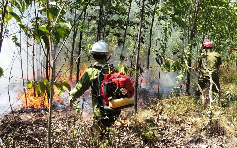 Hoả hoạn là mối đe dọa thường trực đối với người dân, HTX trồng, khai thác rừng.