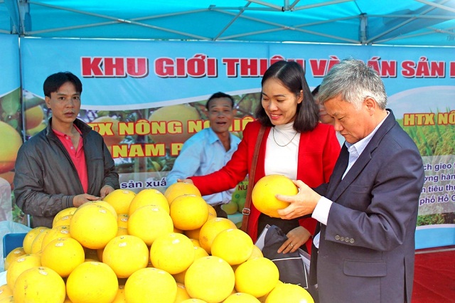 Thương hiệu bưởi Chương Mỹ có sự đóng góp của khu vực kinh tế hợp tác.
