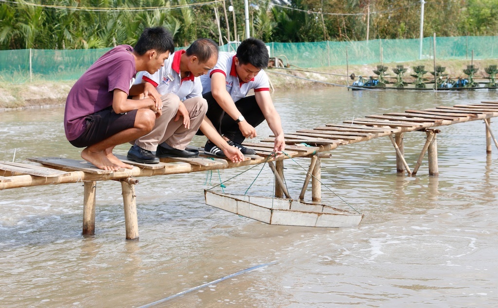 Nhiều lao động nông thôn ở huyện Bình Đại quan tâm học hỏi nghề nuôi tôm 2 giai đoạn.