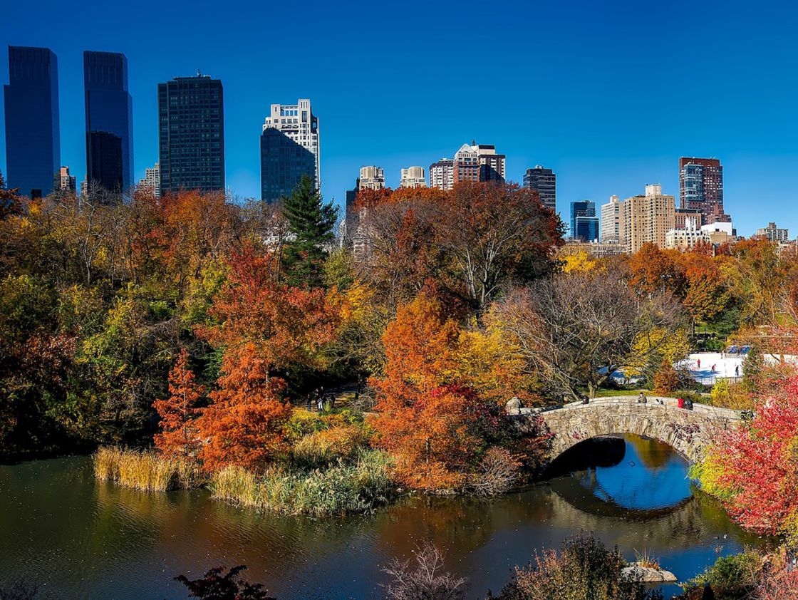 8. New York, Hoa Kỳ