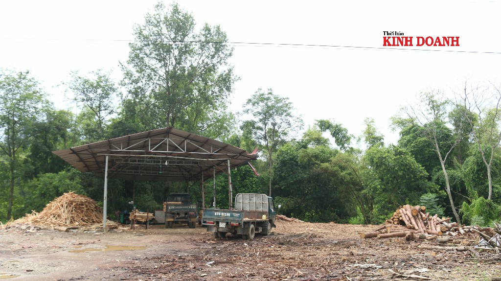 Kho, xưởng tạm bợ không đảm bảo chất lượng bảo quản gỗ.