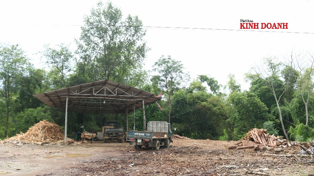Kho, xưởng tạm bợ không đảm bảo chất lượng bảo quản gỗ.