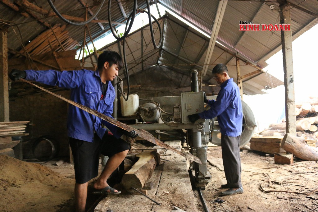 Người lao động phải tuân thủ các quy định bảo hộ lao động của HTX.