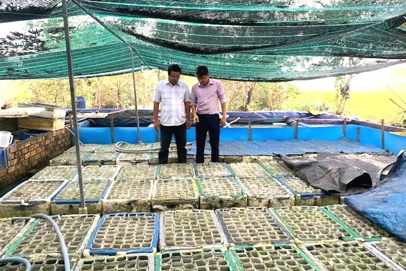 Tổ hợp tác cá kiểng xã An Phú Tây giúp nhiều thanh niên trong xã khởi nghiệp.