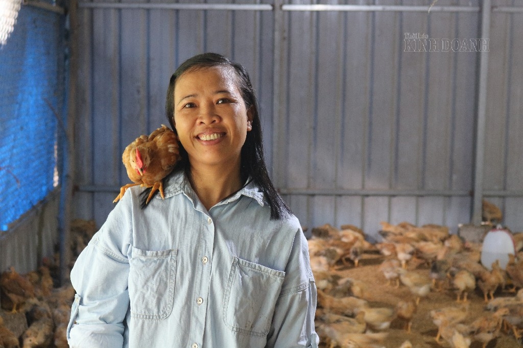 Chị Nguyễn Thu Thoan và mô hình chăn nuôi gà, lợn bằng thức ăn vi sinh.