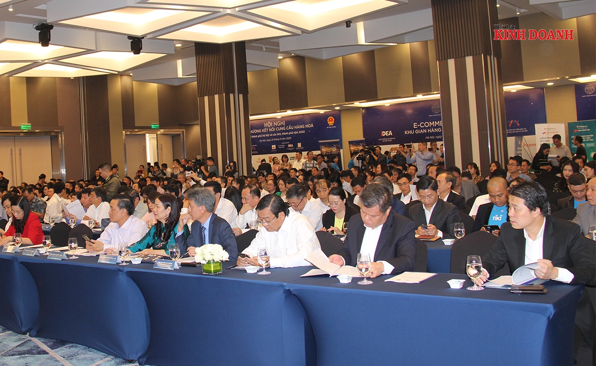 Hội nghị thu hút sự quan tâm của đông đảo các cơ quan chức năng, các HTX và doanh nghiệp.