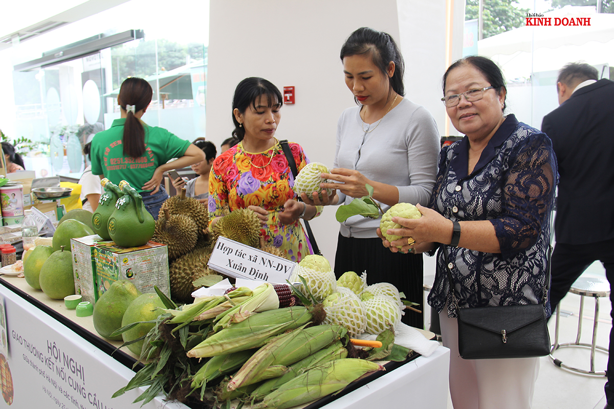 Tham gia các hội nghị kết nối cung cầu sẽ giúp các HTX có ý thức nâng cao chất lượng, mẫu mã sản phẩm và tìm kiếm cơ hội mở rộng thị trường tiêu thụ.