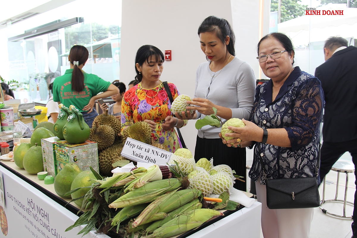 Tham gia các hội nghị kết nối cung cầu sẽ giúp các HTX có ý thức nâng cao chất lượng, mẫu mã sản phẩm và tìm kiếm cơ hội mở rộng thị trường tiêu thụ.