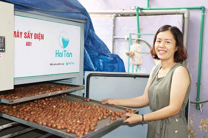 Sau khi chế biến, giá của quả mắc ca sẽ cao hơn nhiều lần so với bán tươi.