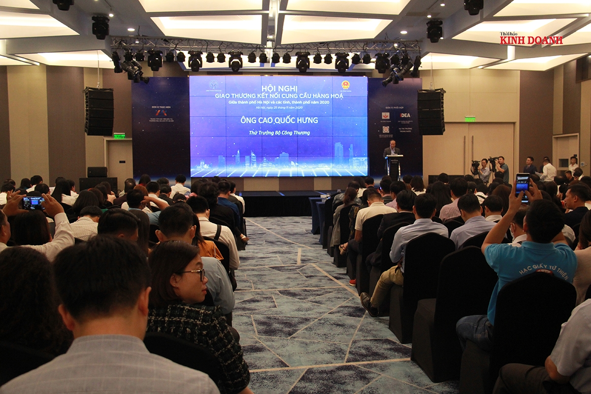 Hội nghị thu hút đông đảo HTX, doanh nghiệp tham gia.