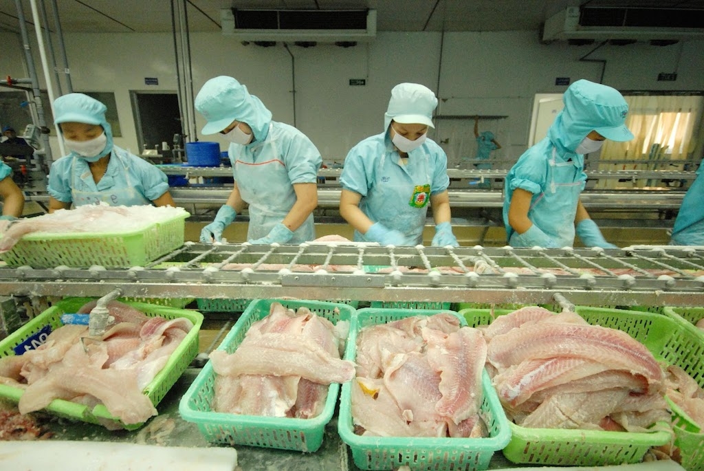 XK cá tra còn phụ thuộc nhiều vào thị trường Trung Quốc