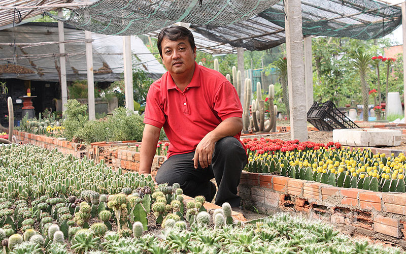 Anh Nguyễn Ngọc Long, chủ vườn kiểng Ngọc Long, là điển hình nông dân làm kinh tế giỏi ở Thới Tam Thôn.