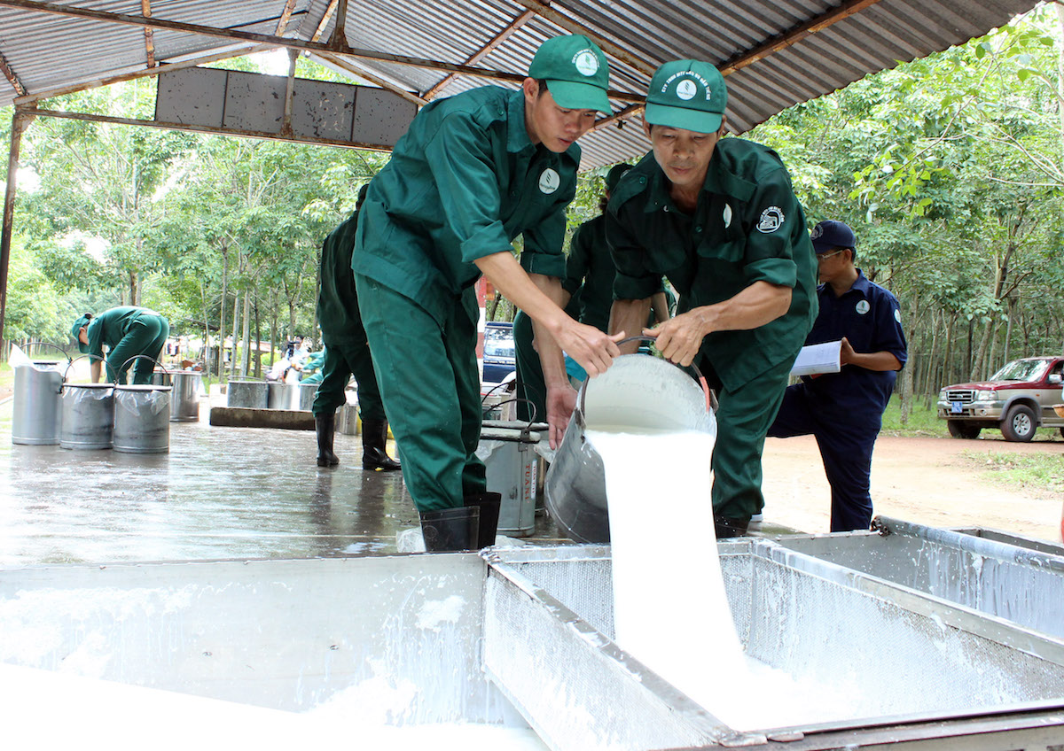 Thị trường thế giới đang rất ưa chuộng các sản phẩm cao su bền vững.
