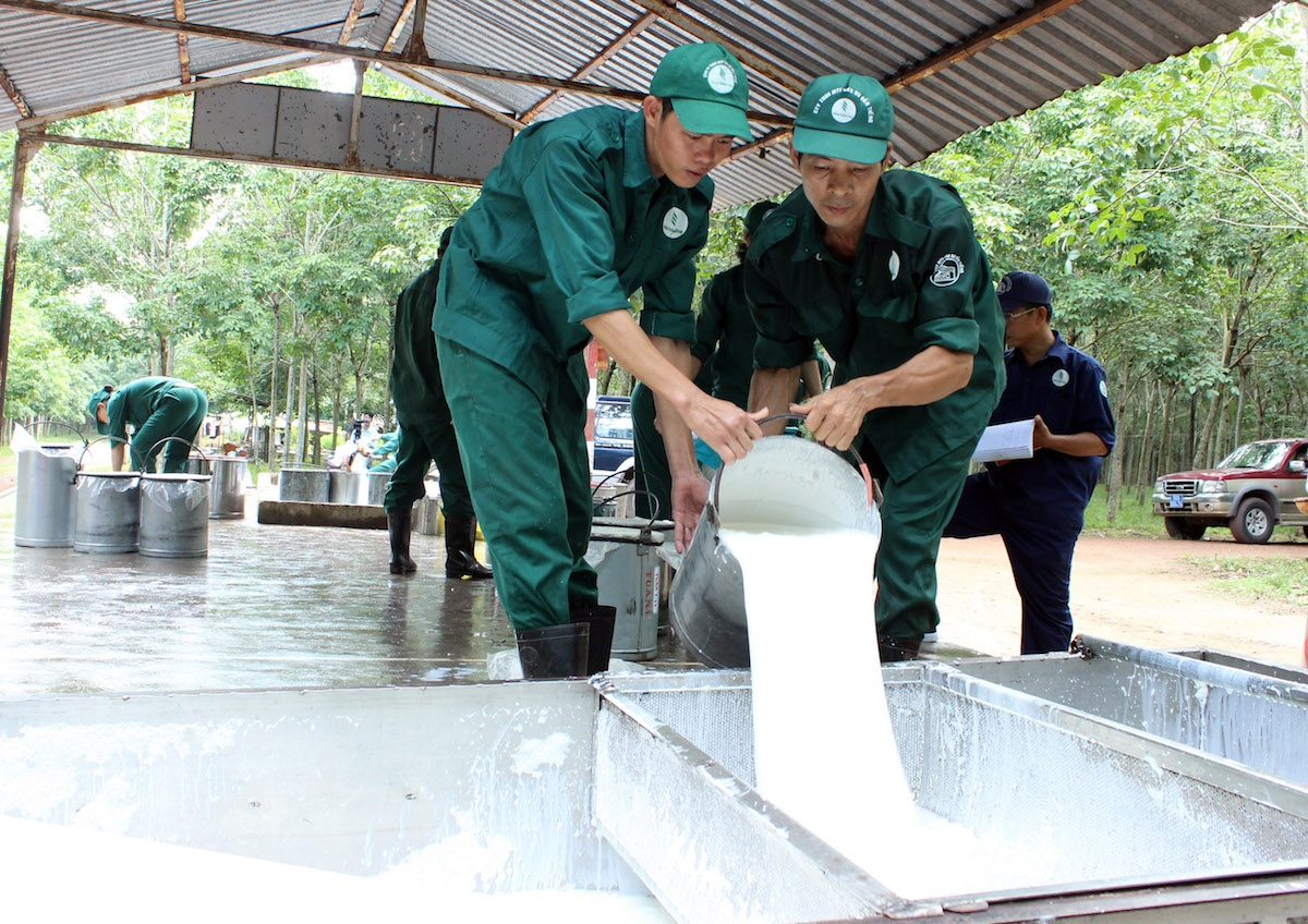 Thị trường thế giới đang rất ưa chuộng các sản phẩm cao su bền vững.
