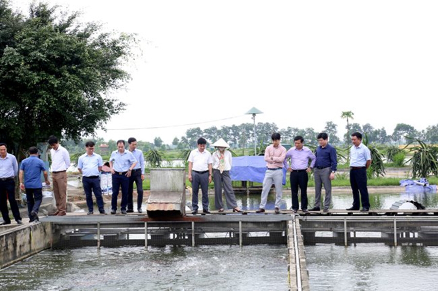 Các mô hình nông nghiệp công nghệ cao phát triển mạnh ở Gia Lộc.