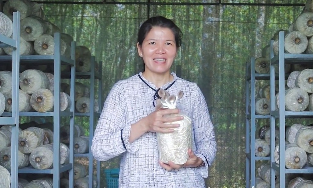 Nông dân Đoàn Thị Thanh Thuý - chủ trang trại nấm bào ngư xám Mười Thuý.