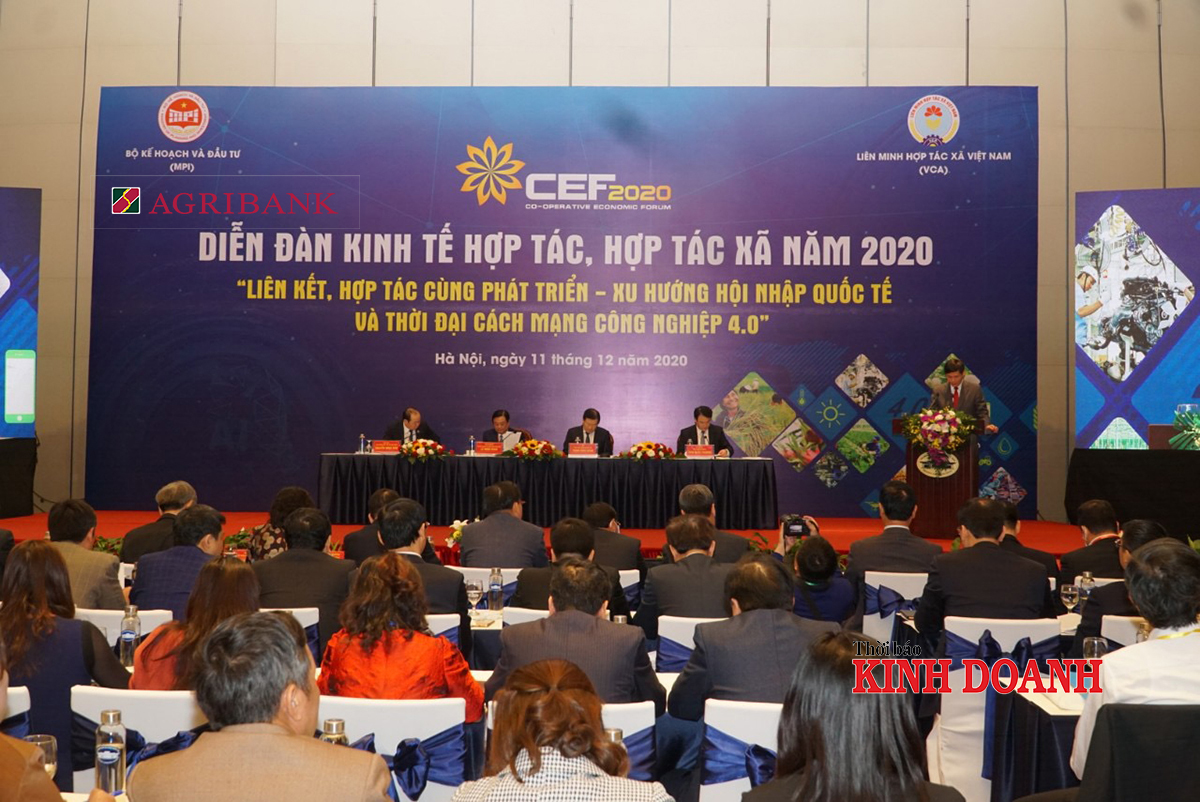 Diễn đàn Kinh tế hợp tác, hợp tác xã 2020.